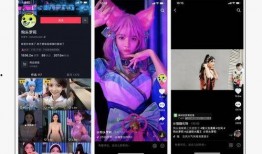 呆呆的爆料视频大全集,揭秘幕后真相，笑料百出