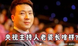 主持人爆料媳妇视频大全,媳妇视频大全幕后真相大曝光